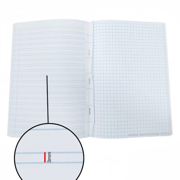 CUADERNO ESPECIAL A5 100H 2L #3 CUADRO #6 MPS