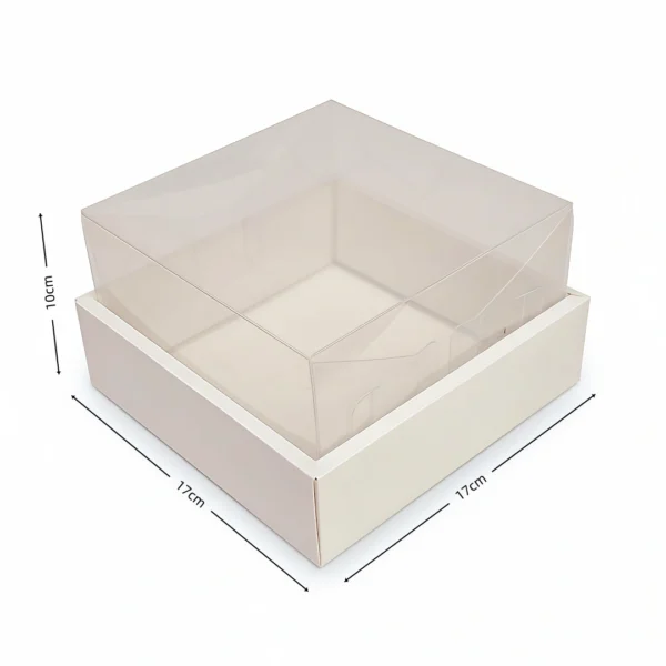 CAJA CUADRADA TAPA ACETATO 17*17*10CM PJ 25IV231