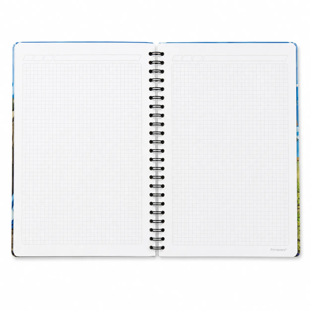 CUADERNO UNIVERSITARIO 100 HOJAS A CUADROS PASTA DURA DRAGON BALL PRIMAVERA - Imagen 2